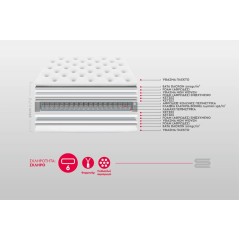 Dynamic Plus Στρώματα